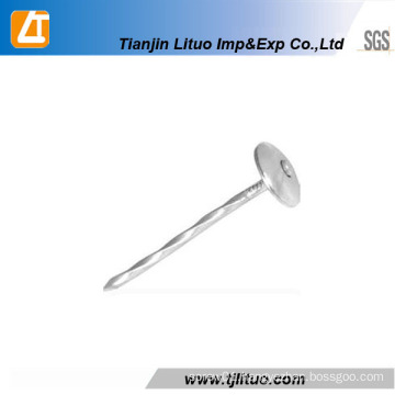 Competitive Price High Quality Umbrella Head Roofing Nail